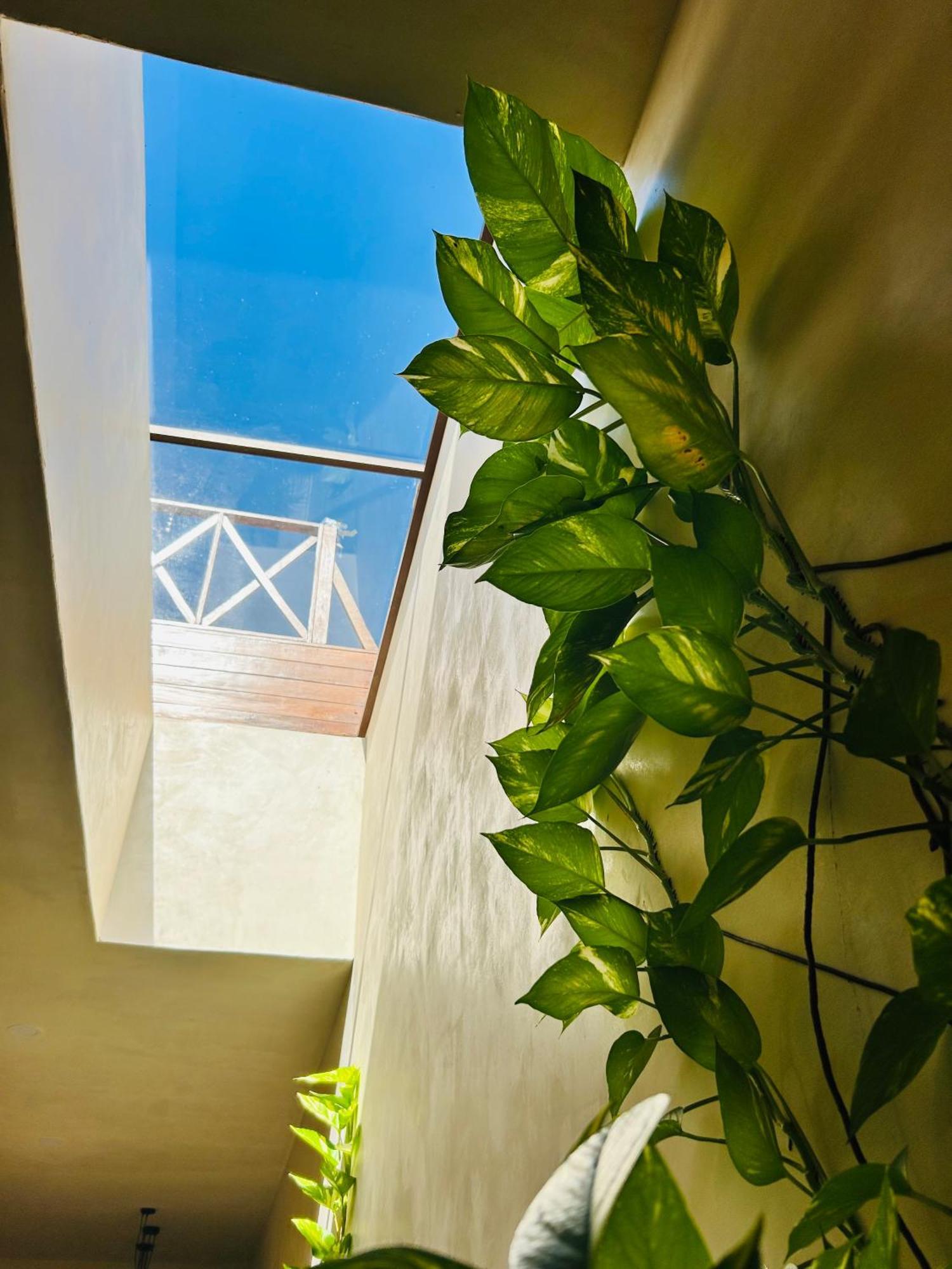 Апартаменты Sunsteps Casa Holbox Экстерьер фото